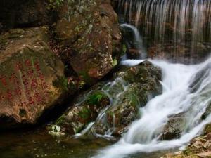 顾渚山风景区02
