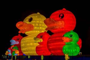 商业软膜艺术灯