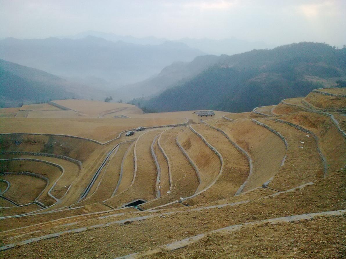 土地整理