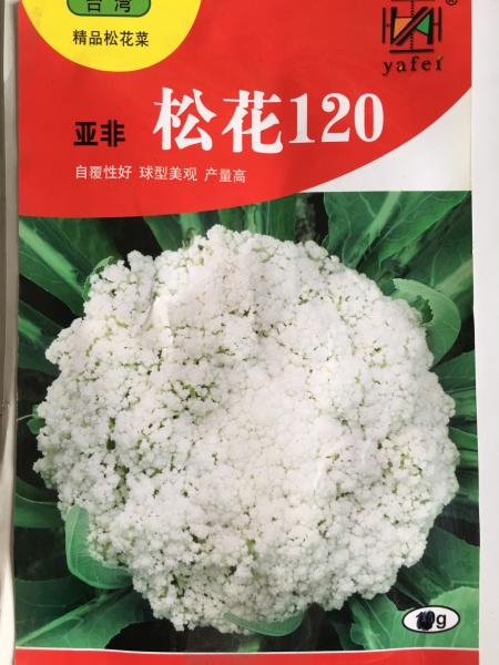 亚非松花120