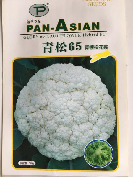 青松65青梗花椰菜