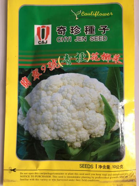 翡翠9号(青梗)花椰菜