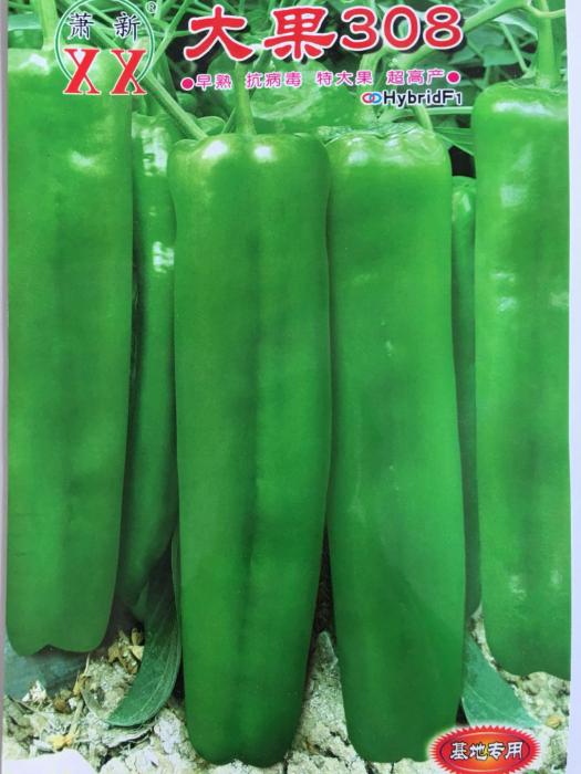 大果308