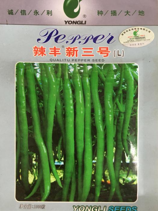辣丰新三号(L)