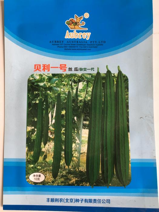 贝利一号 丝瓜-杂交一代