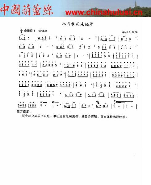 八月桂花遍地开