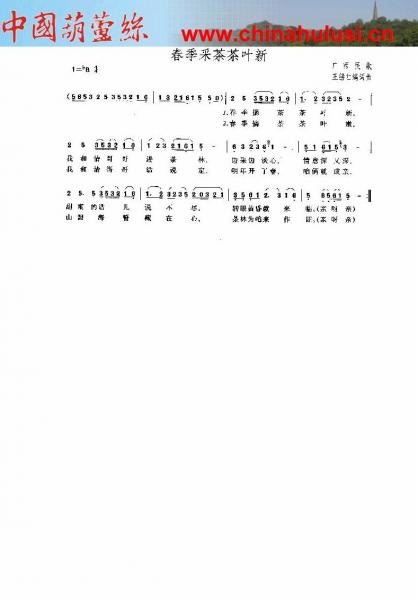 春季采茶茶叶新