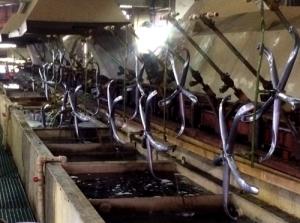 电镀车间 Plating room