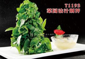 T1193菜园沾汁荆芥 副本