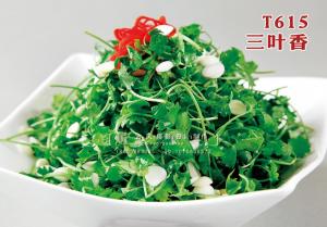 T615三叶香 副本