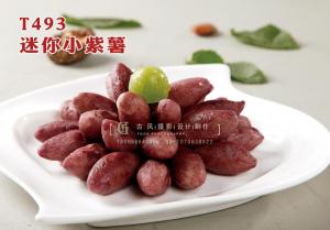 T493迷你小紫薯 副本