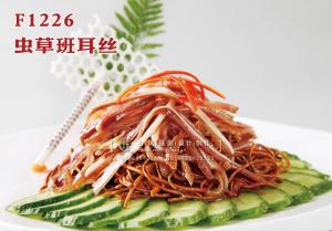 F1226虫草班耳丝 副本
