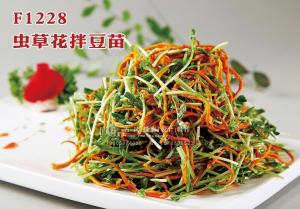 F1228虫草花拌豆苗 副本