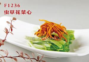F1236虫草花菜心 副本