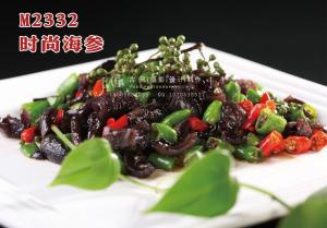 M2332时尚海参 副本