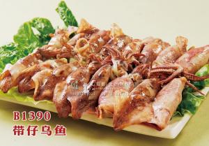 B1390带仔乌鱼 副本