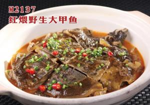 M2137红煨野生大甲鱼 副本