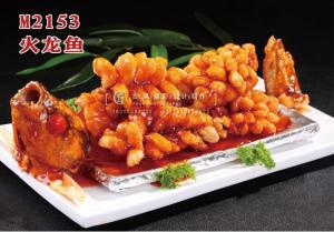 M2153火龙鱼 副本