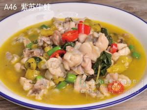 A46  紫苏牛蛙
