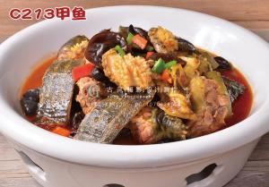 C213甲鱼 (2) 副本