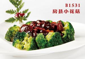 B1531房县小花菇 副本