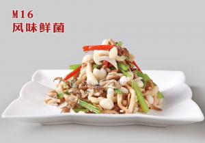 M16风味鲜菌 副本