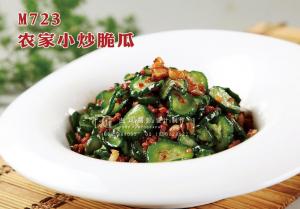 M723农家小炒脆瓜 副本