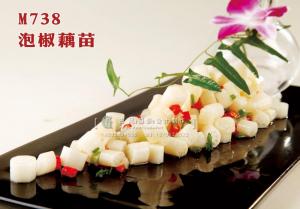 M738泡椒藕苗 副本