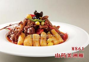 M861山药美洲雁 副本