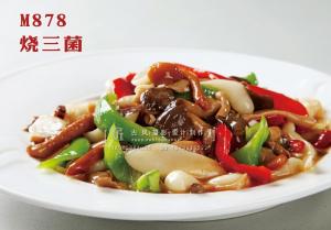 M878烧三菌 副本