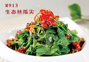 M913生态丝瓜尖 副本