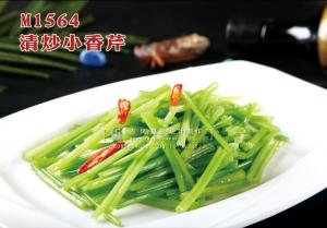 M1564清炒小香芹 副本