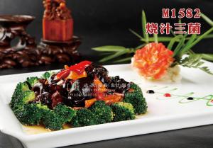 M1582烧汁三菌 副本