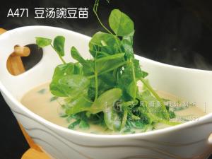 A471  豆汤豌豆苗