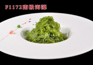 F1172南极海藻 副本