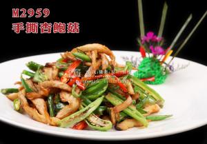 M2959手撕杏鲍菇 副本