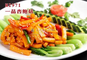 M2971一品杏鲍菇 副本