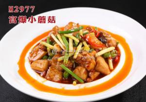 M2977宫爆小蘑菇 副本