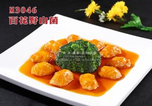 M3046百花野山菌 副本