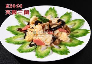 M3050芙蓉三菌 副本