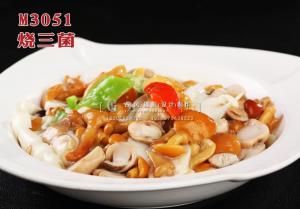 M3051烧三菌 副本
