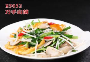 M3052巧手山菌 副本