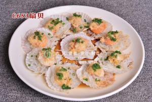 C653扇贝 副本