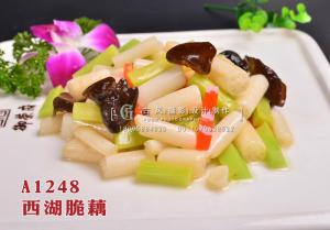 A1248西湖脆藕 拷贝
