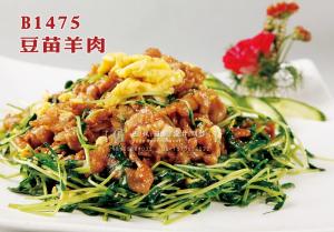 B1475豆苗羊肉 副本