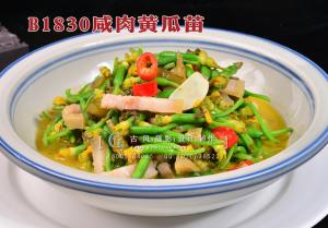 B1830咸肉黄瓜苗 拷贝