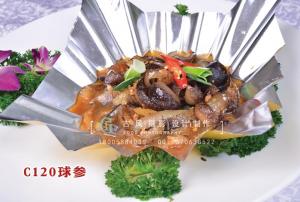 C120球参 (1) 副本