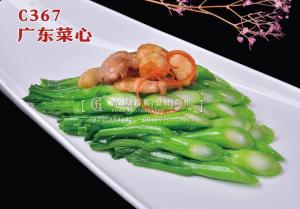 C367广东菜心 (1) 副本