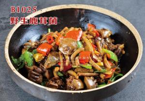 B1025野生鹿茸菌 副本