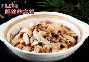 L500部落养生菌 副本